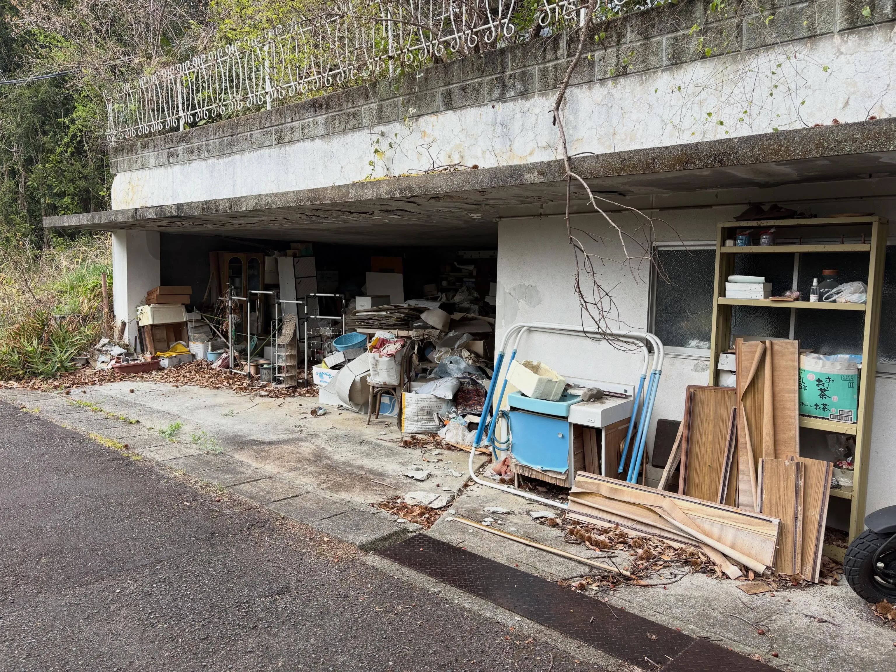優しいお願いが舞い込みました。