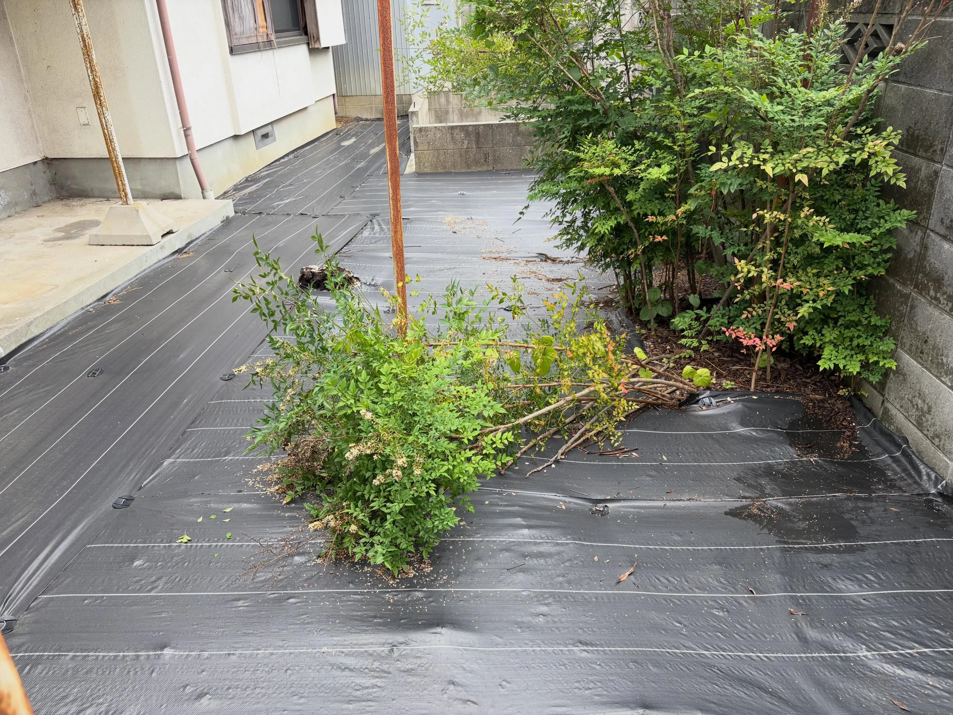 台風の後、庭が荒れたままになっていると心配ですよね。