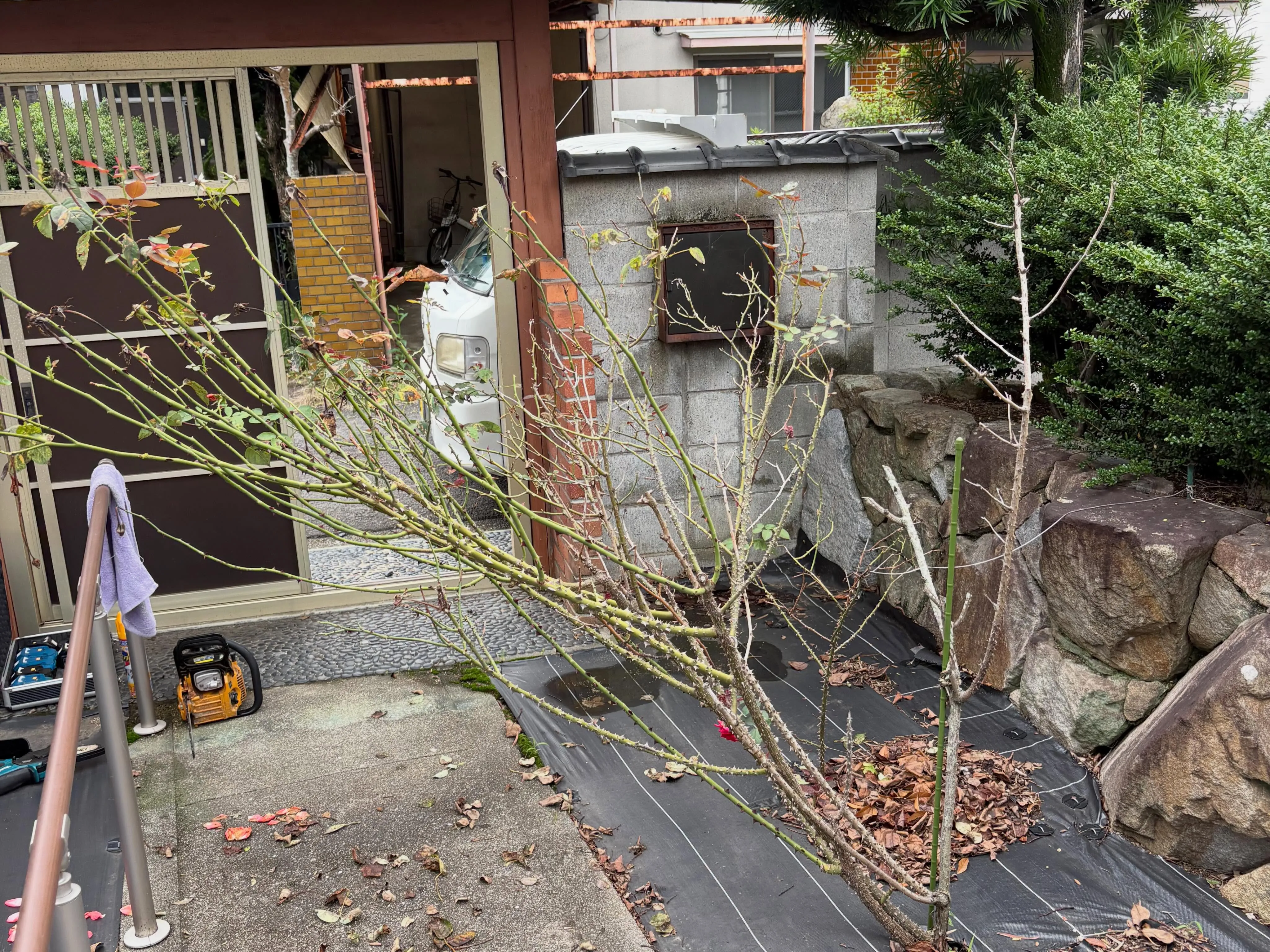 台風の後、庭が荒れたままになっていると心配ですよね。